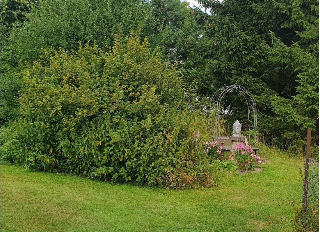 Ein Garten, wo man die Seele auch baumeln lassen kann. — Aire camping car in Blomberg