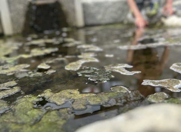 Im schönen Süden - Alpenblick mit Bachlauf