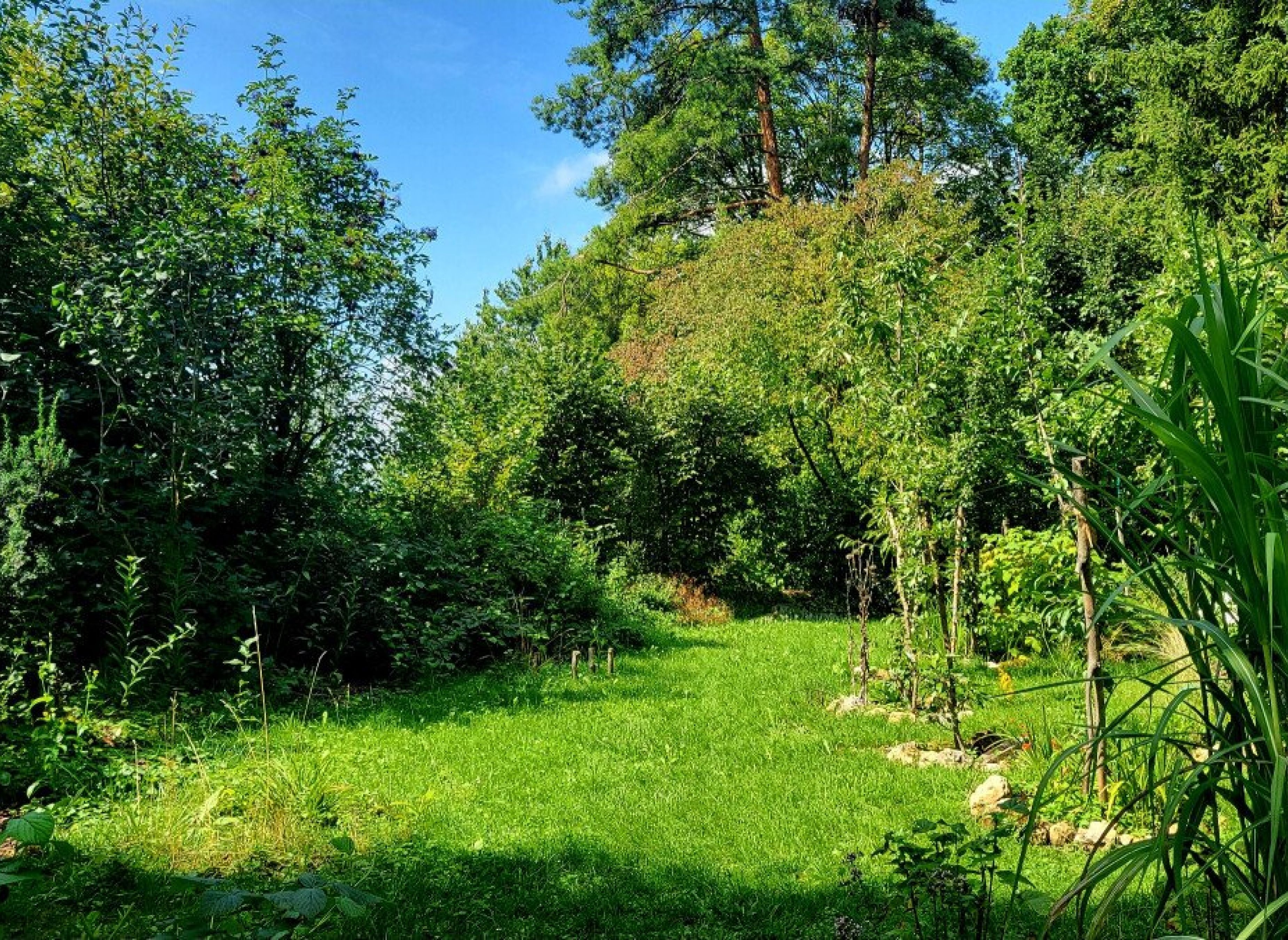 Naturpark Fränkische Schweiz mind. 2 Tage vorher buchen!!! — Sp. parking dla kamperów in Weigendorf