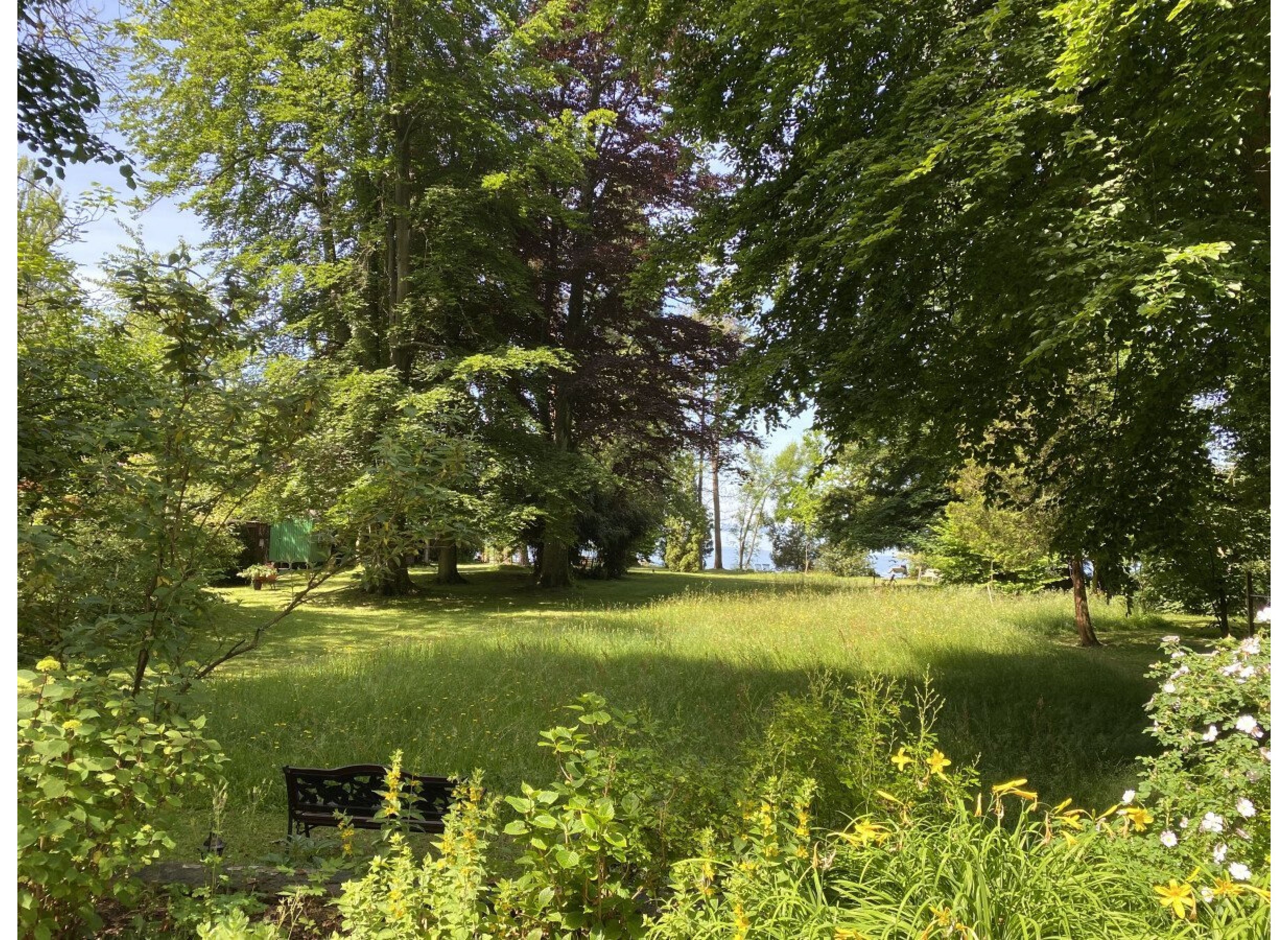 Auszeit am Bodensee  mit direktem Zugang zum Wasser und Blick auf die schweizer Berge, — Ställplats in Langenargen
