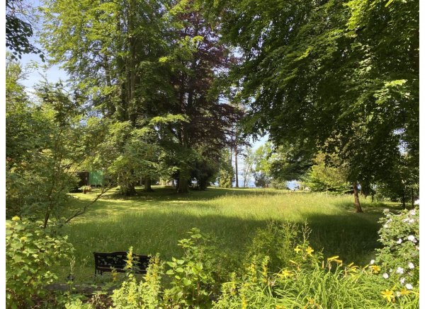 Auszeit am Bodensee  mit direktem Zugang zum Wasser und Blick auf die schweizer Berge,