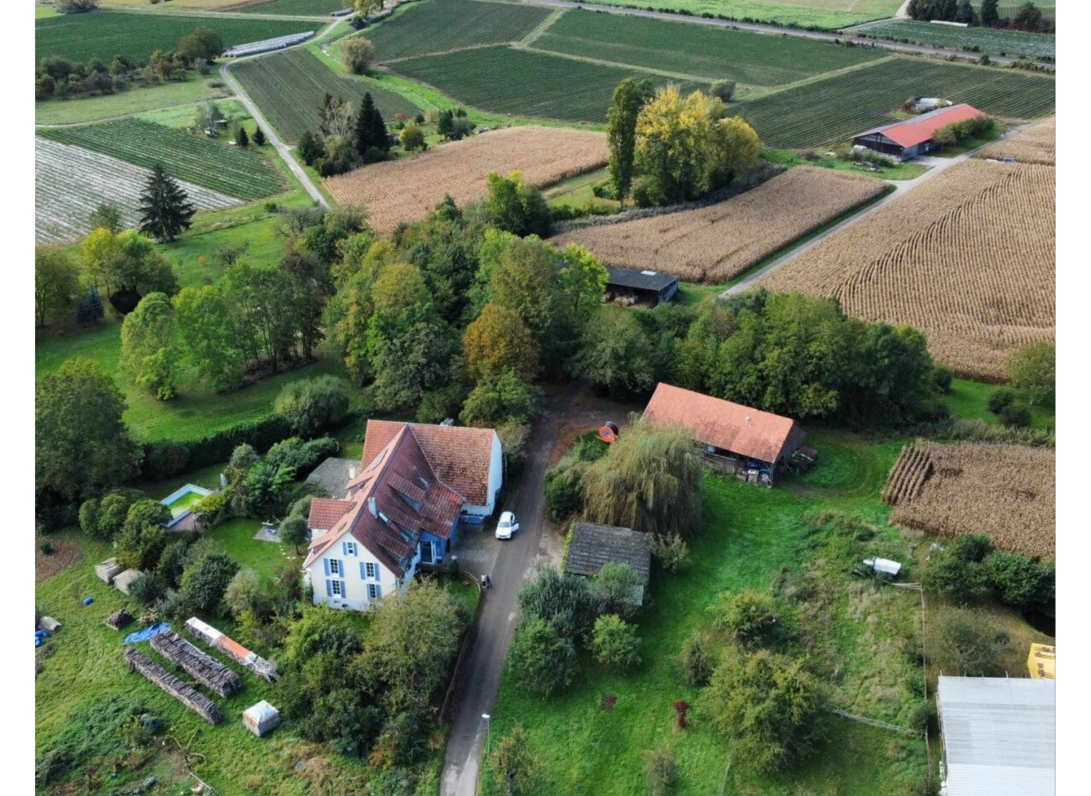 Bauernhof Burg Lichteneck — Winery in Kenzingen