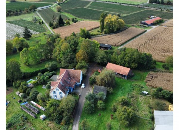 Bauernhof Burg Lichteneck — Foto 3