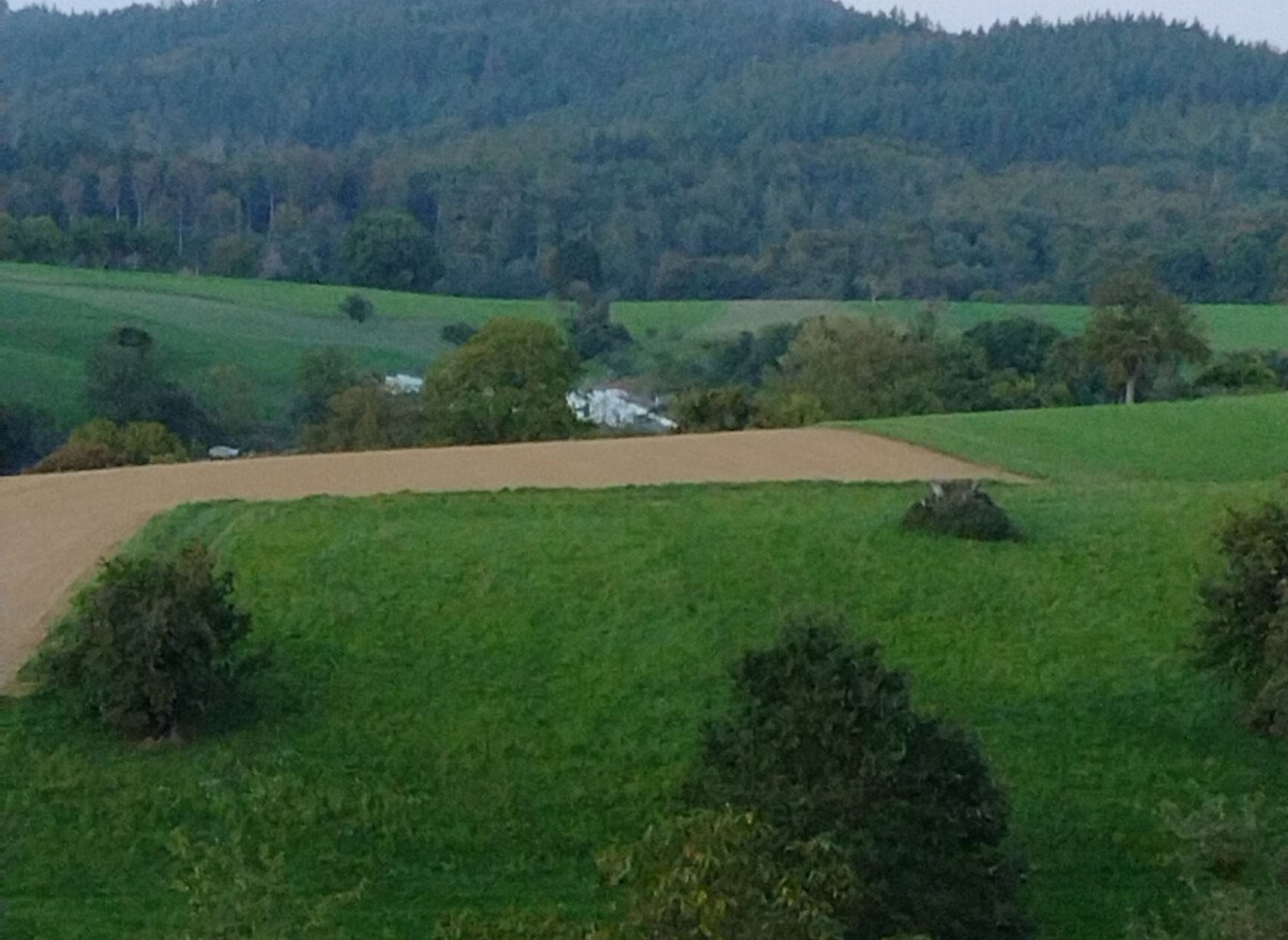Im Herzen vom südlichen Odenwald — Aire camping car in Rimbach