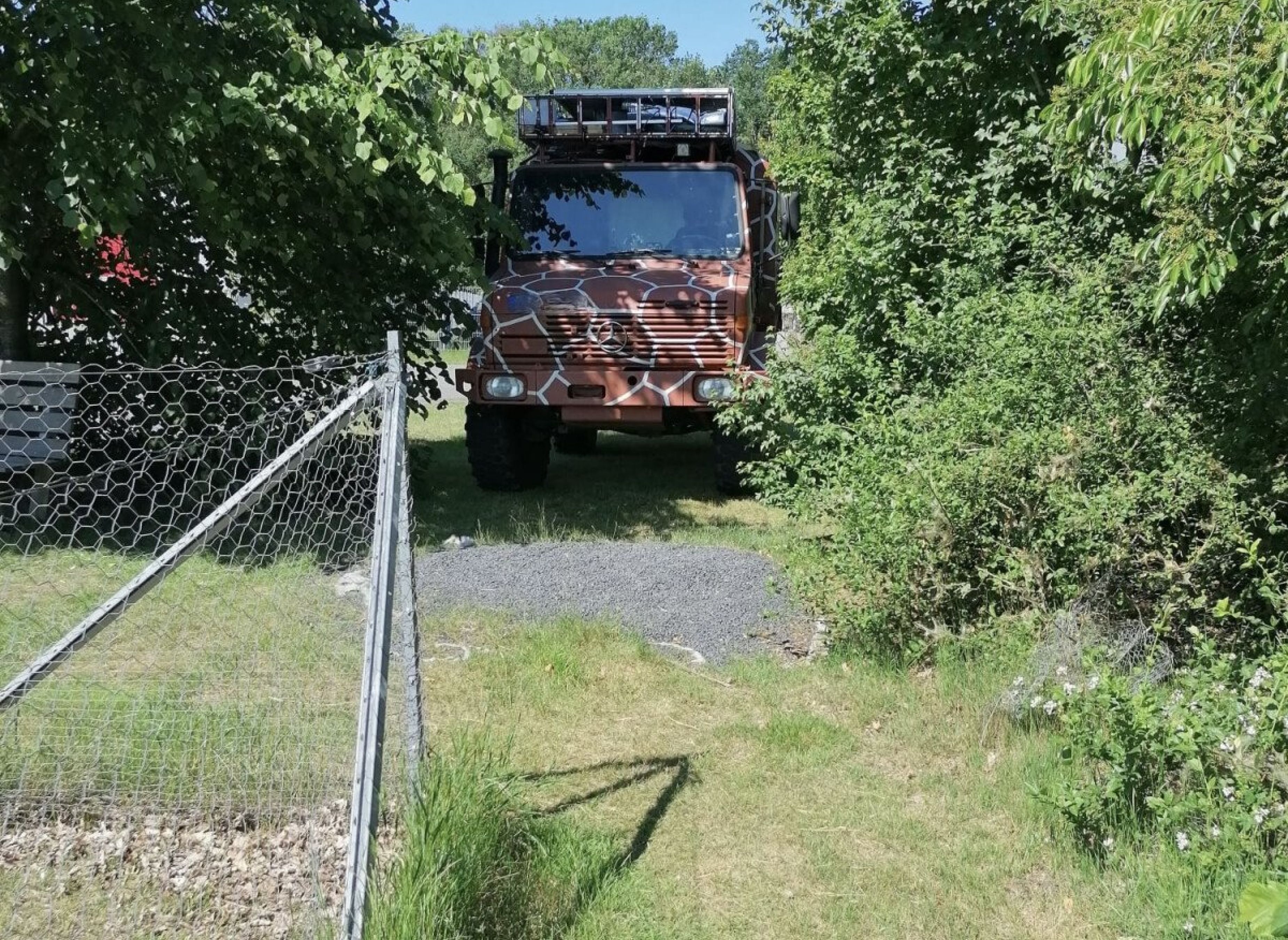 Idyllisch kleiner Hof mit Alpakas — Camperplaats in Wietmarschen