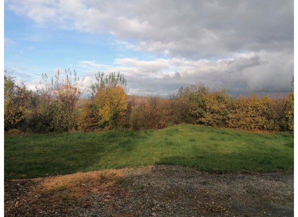 Naturnaher Stellplatz direkt am Weingut, Flasche Wein als Willkommensgeschenk — Photo 2