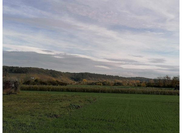 Naturnaher Stellplatz direkt am Weingut, Flasche Wein als Willkommensgeschenk — Photo 3