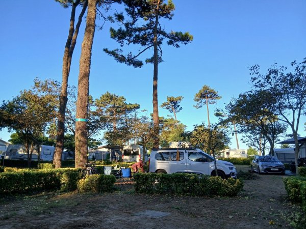 Orbitur - Angeiras — Photo 5