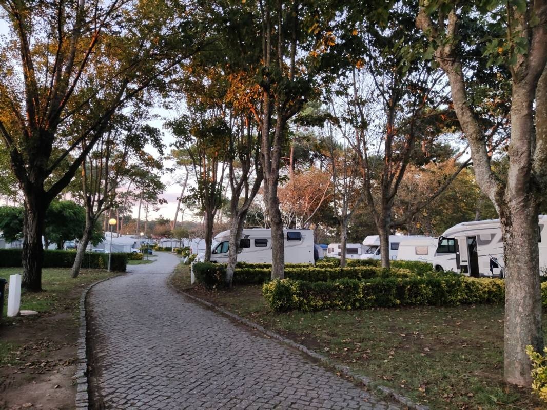 Parque de Campismo Orbitur Angeiras — Kemp in Lavra