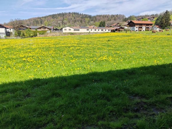 Stellplatz auf dem Bauernhof — Foto 6