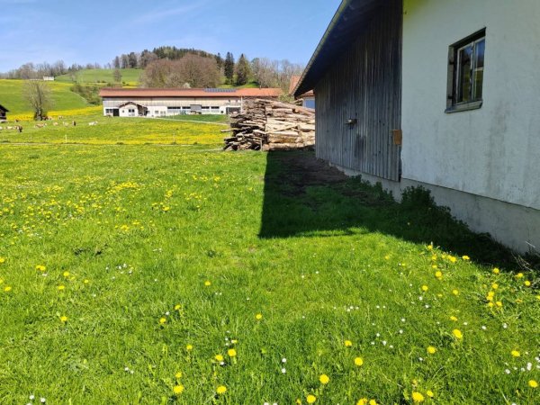 Stellplatz auf dem Bauernhof — Photo 2