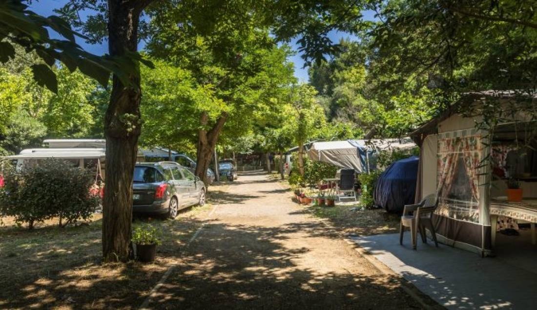 Camping les Amandiers Collioure — Campingplats in Collioure