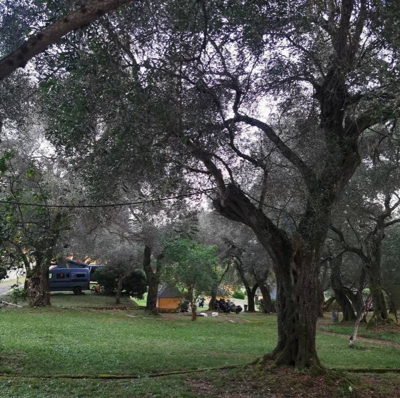 Camping Village Dionysus — Campingplats in Limni