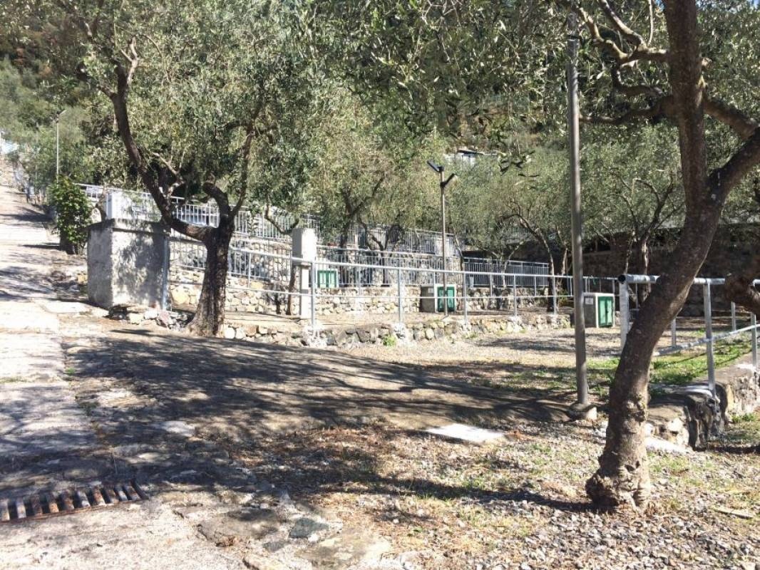 Camping degli Ulivi — Campingplass in Fornaci