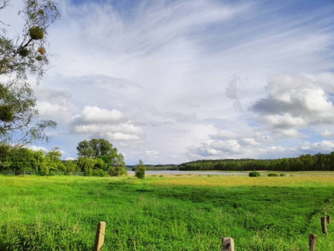 Łąka Pełna Ziół — Sp. parking dla kamperów in Rentyny