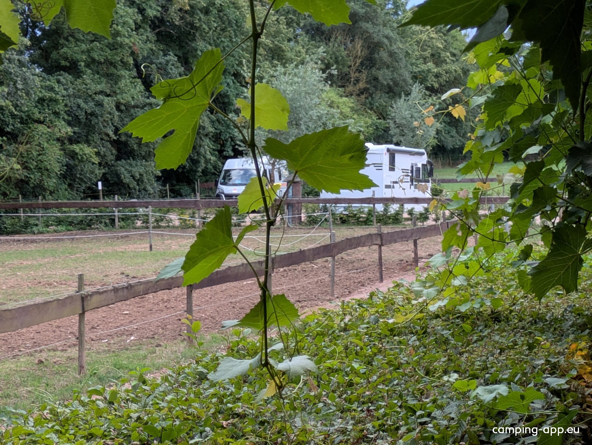 Buchenländerhof — Weingut in Norheim