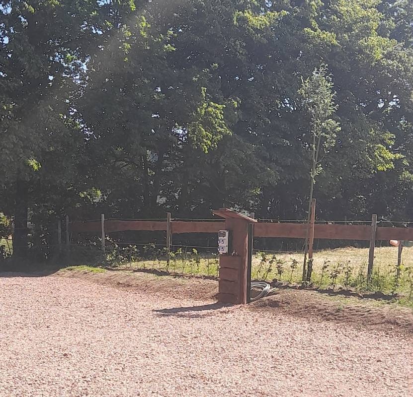 Buchenländerhof — Vintillverkare in Norheim