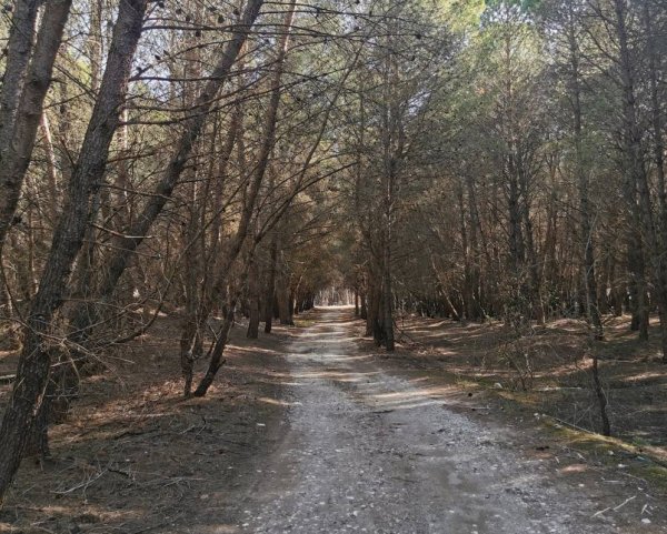 Eco Camping Valona — Photo 3