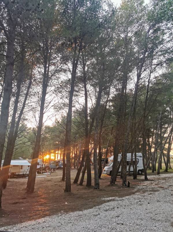 Eco Camping Valona — Photo 4