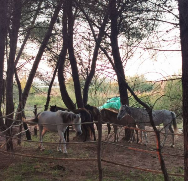 Eco Camping Valona — Photo 2