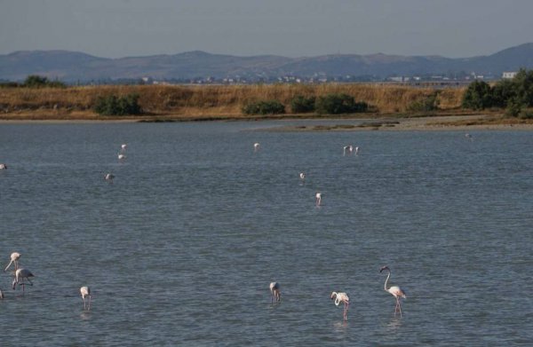Eco Camping Valona — Photo 2