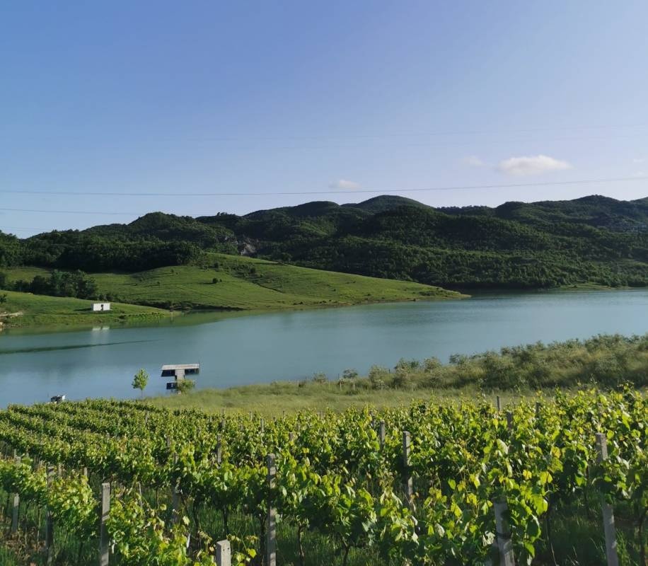 Camping Tirana — Camping Site in Rruga e Limuthit Kashar