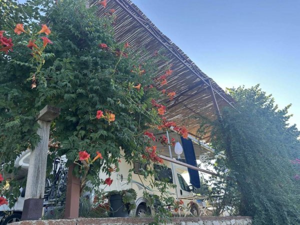Camping Tirana — Foto 6