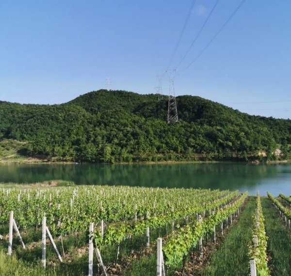 Camping Tirana — Photo 5