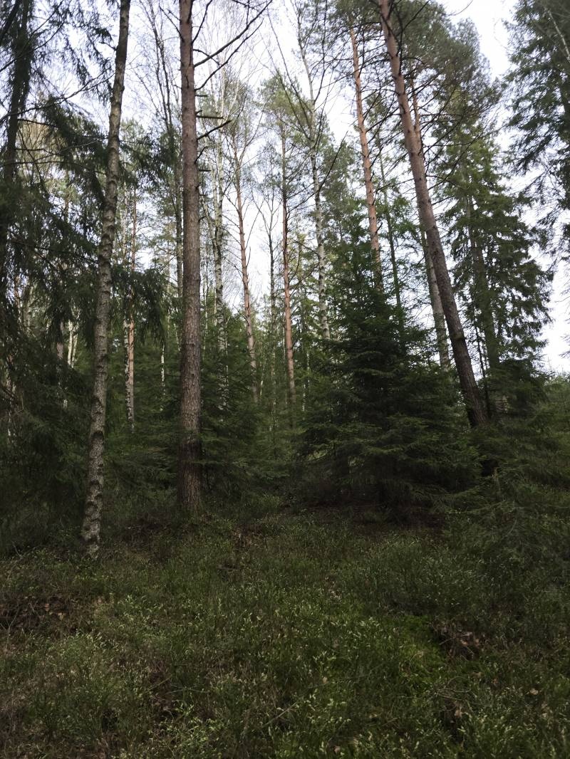 Peaceful Hill — Camperplads in Lerum