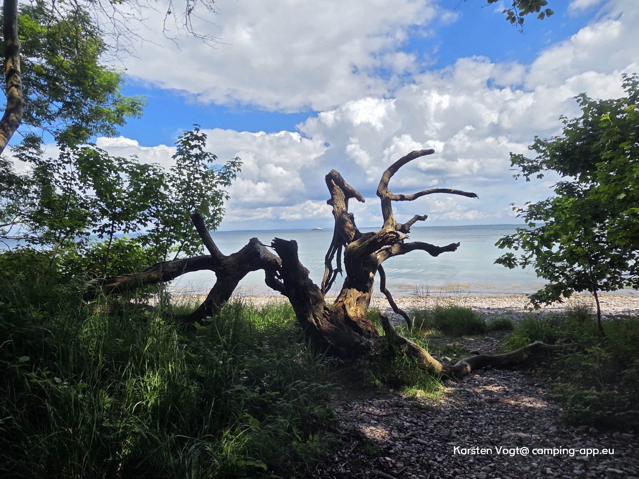 Naldmose Strand Camping — Foto 4