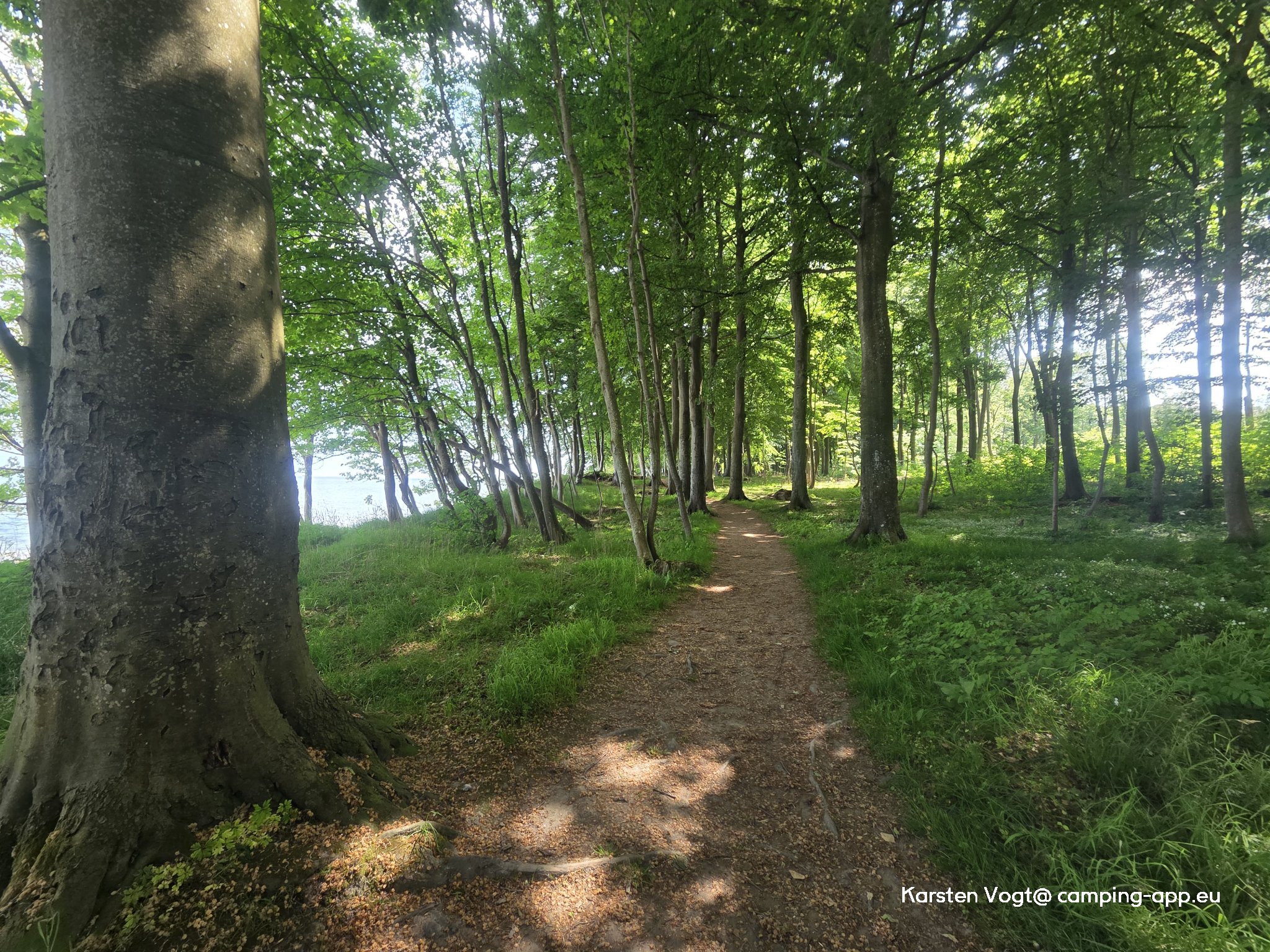 Naldmose Strand Camping — Foto 3