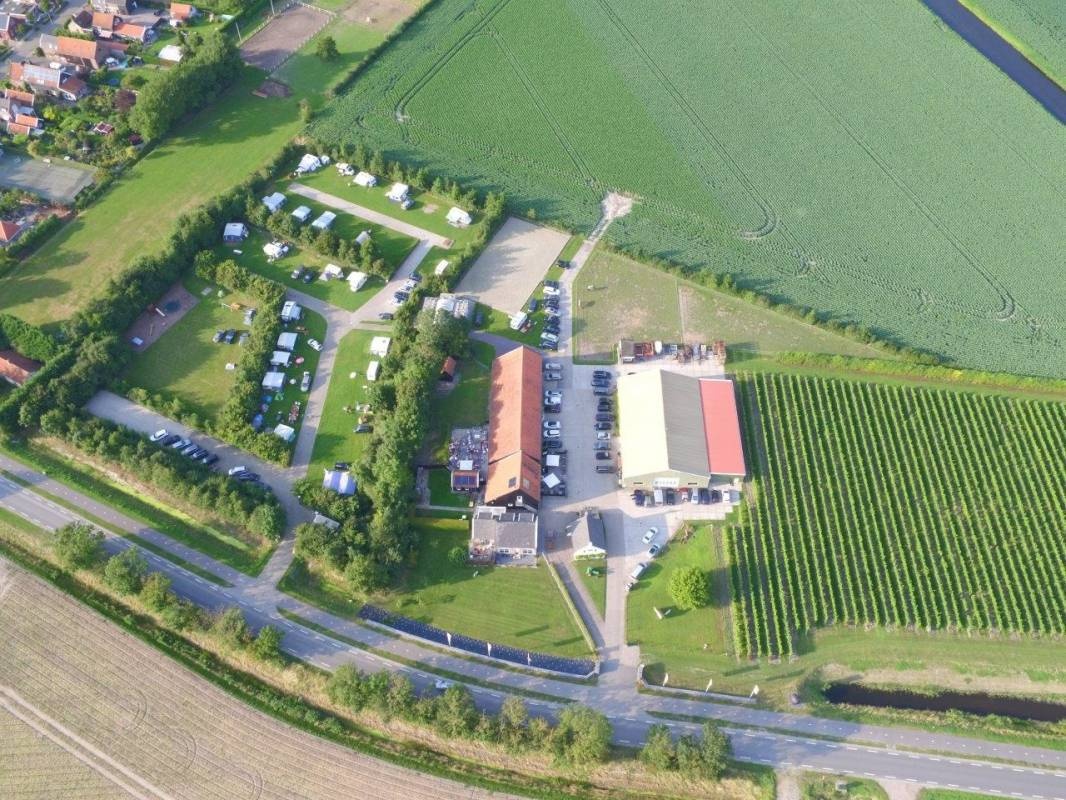 Camping de Kleine Schorre — Vintillverkare in Dreischor