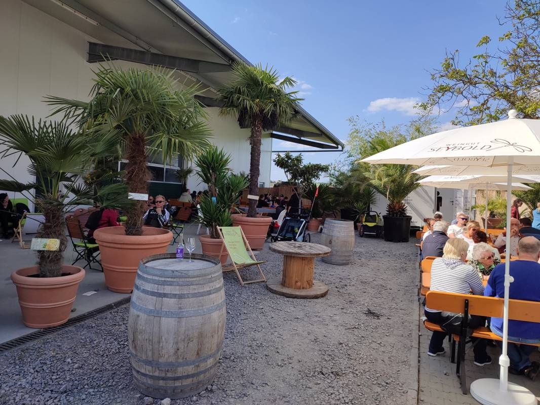 Weingut Seybold (Nur mit Voranmeldung) — Winery in Lauffen am Neckar