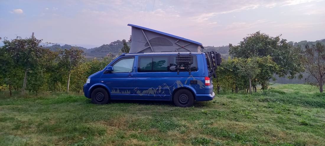 Azienda Agricola Vitacchio Massimo — Winery in Breganze