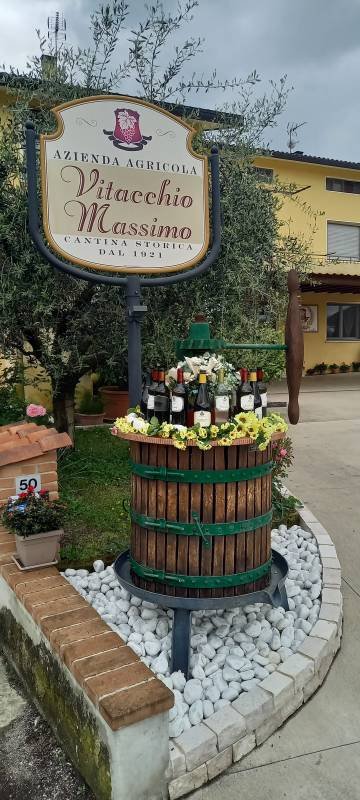 Azienda Agricola Vitacchio Massimo — Photo 3