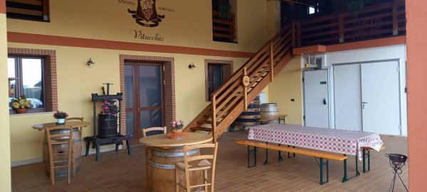 Azienda Agricola Vitacchio Massimo — Photo 2