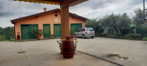 Azienda Agricola Vitacchio Massimo — Photo 4