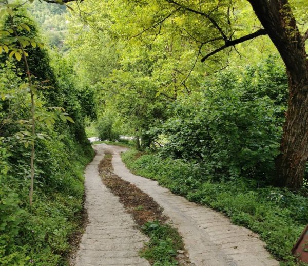 Camping Vesko — Photo 2