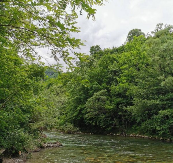 Camping Vesko — Photo 4