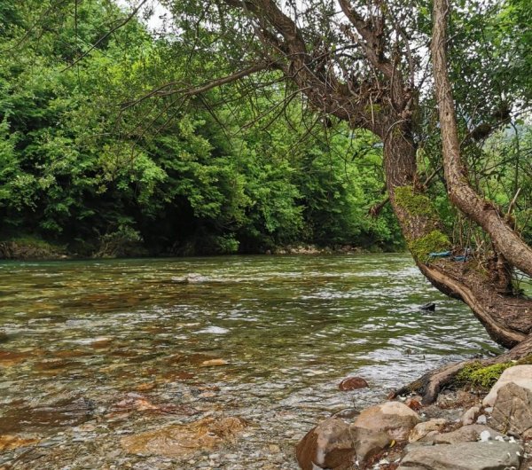 Camping Vesko — Photo 5