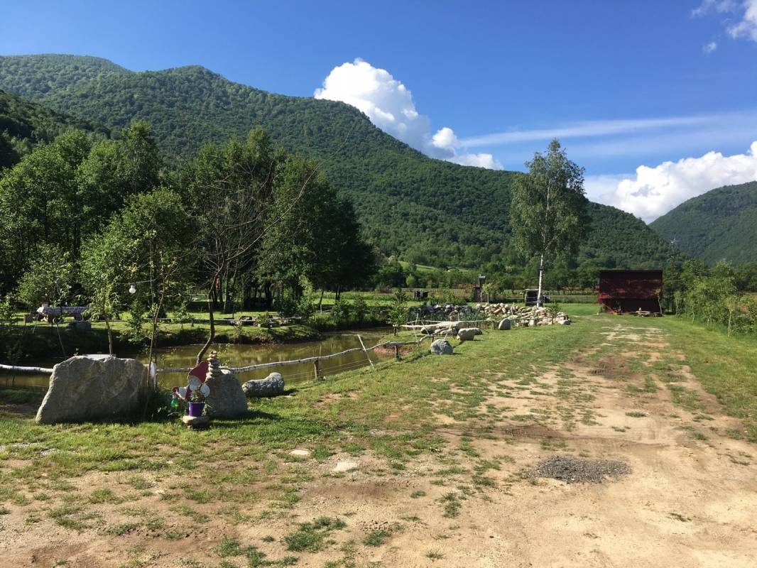 Balta Rosie — Camping in Hațeg