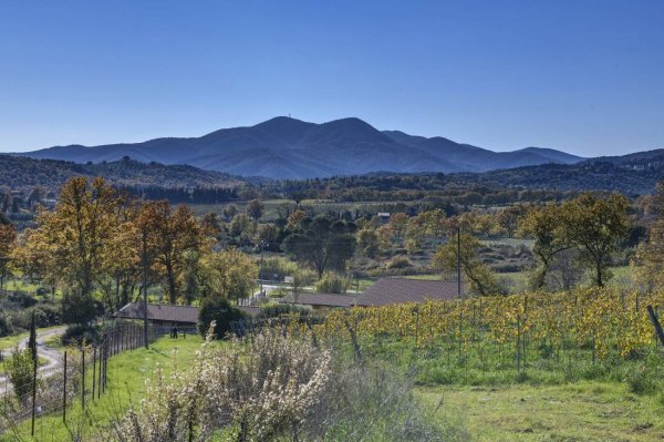 Agricampeggio Santa Clorinda — Foto 3