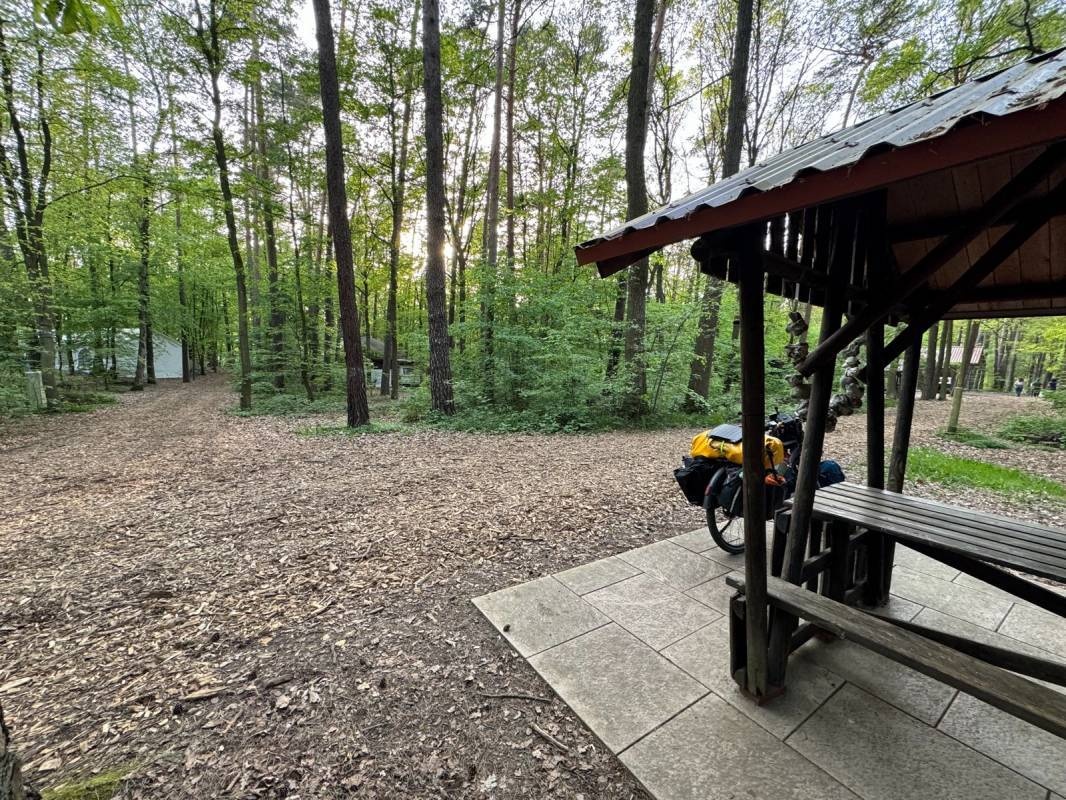 Campingplatz Dammühlenteich — Campingplads in Dahlen