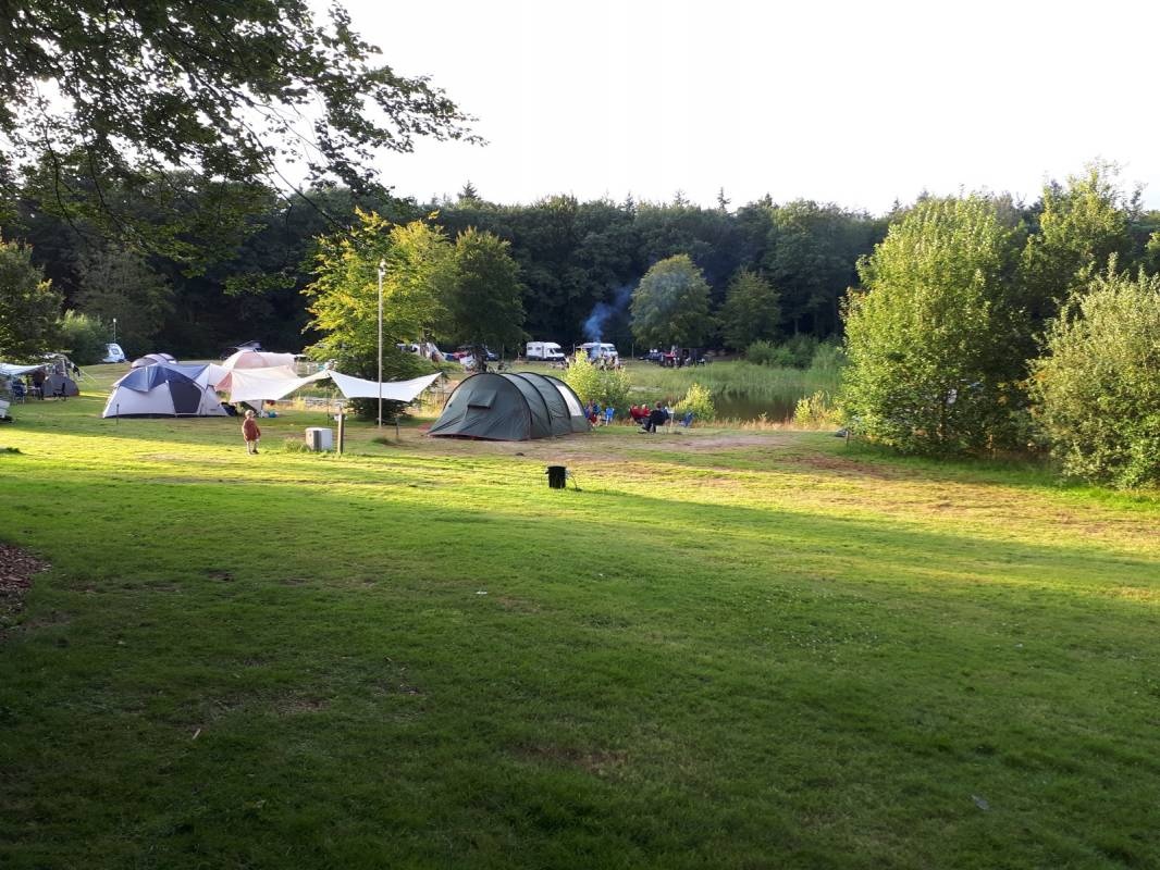 Landgoed Börkerheide — Campingplass in Westerbork