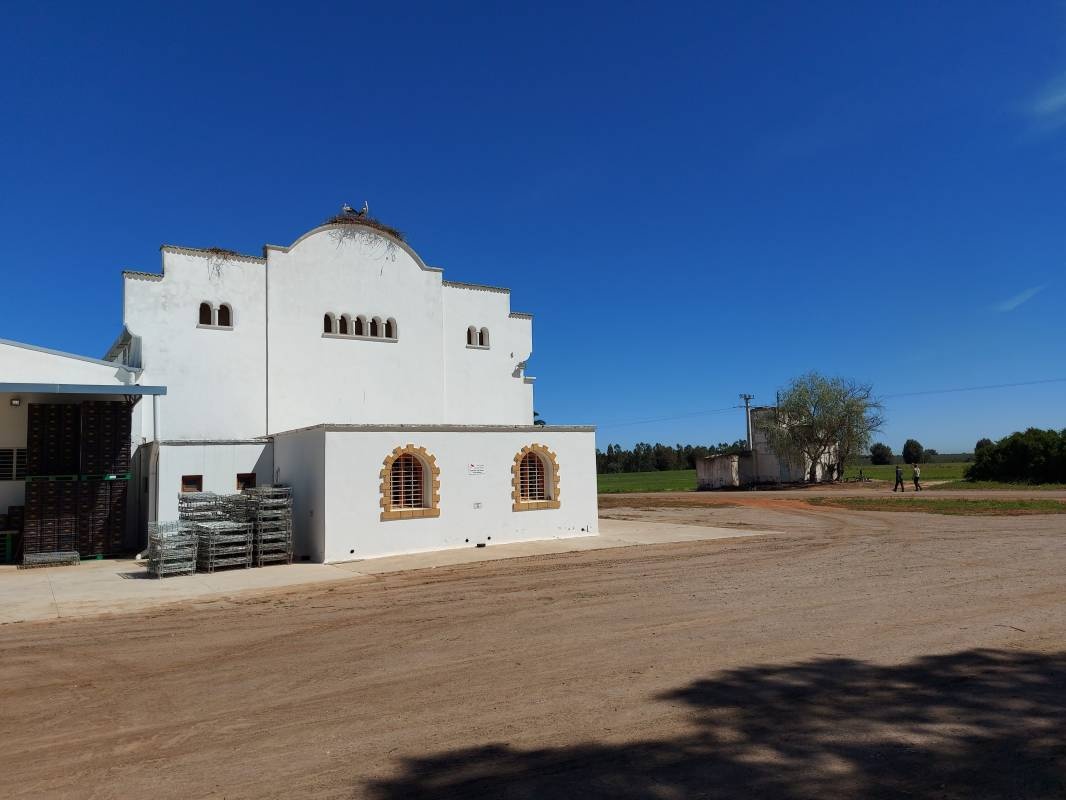 Hacienda des cigognes — Vinícola in Ait Bouyahya El Hajjama آيت بويحيى الحجامة
