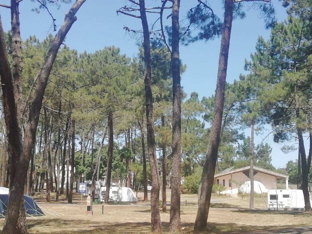 Parque de Campismo São Miguel — Campingplatz in Odeceixe