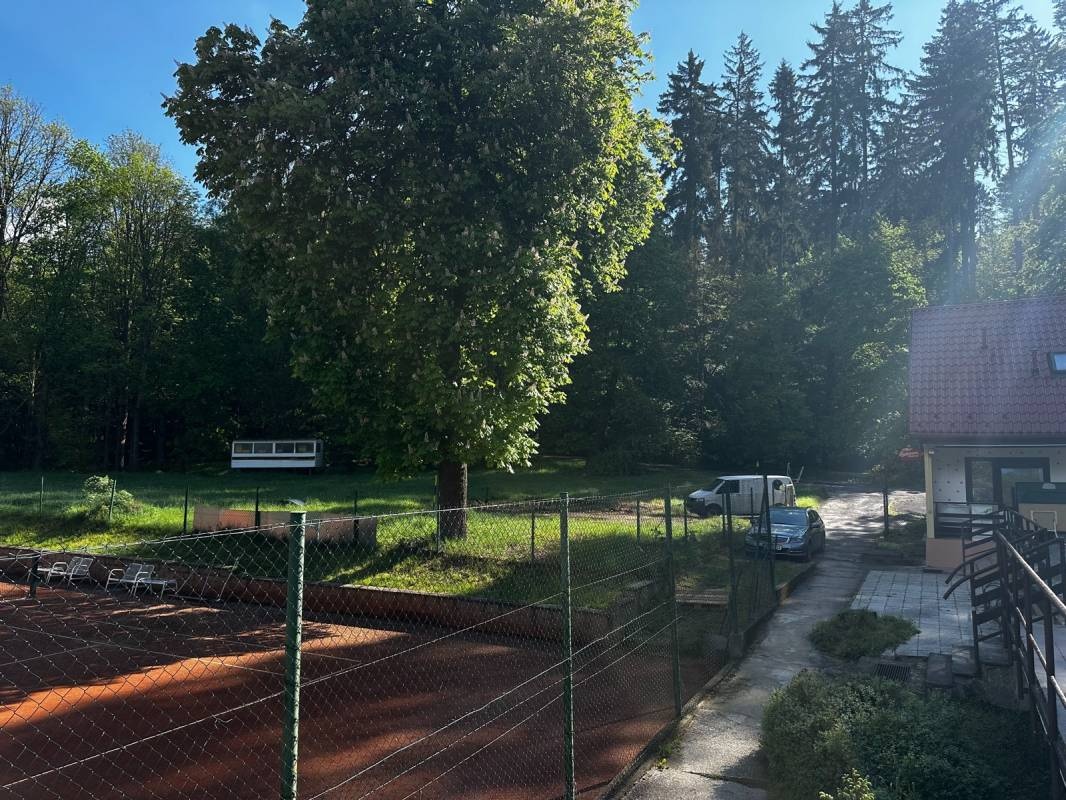 In forest — Kamp yeri in Mariánské Lázně 1