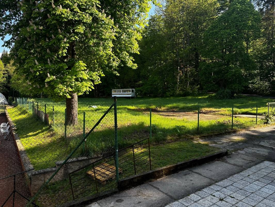 In forest — Campingplass in Mariánské Lázně 1