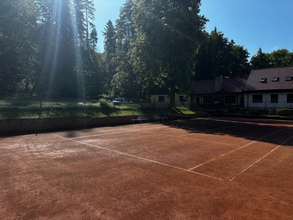 In forest — Photo 2