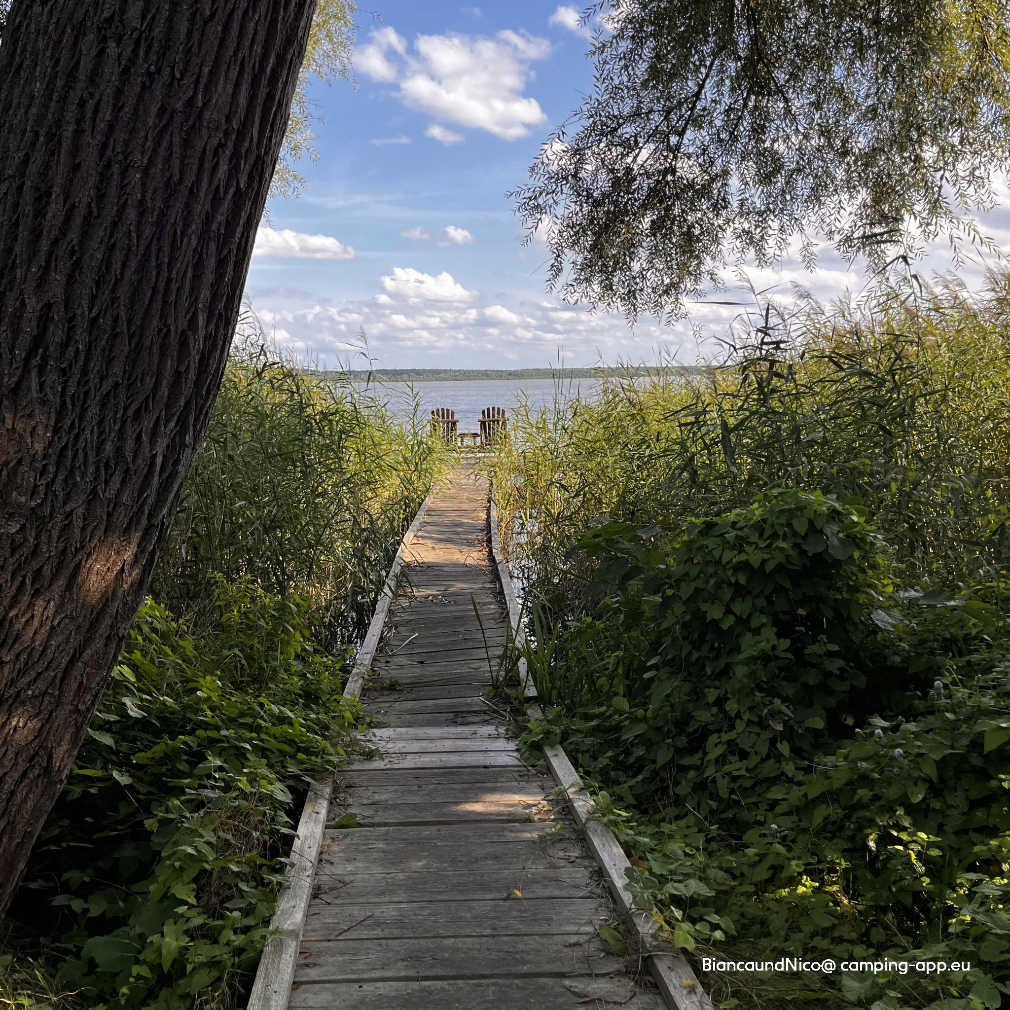 Camping Goldberger See — Foto 4